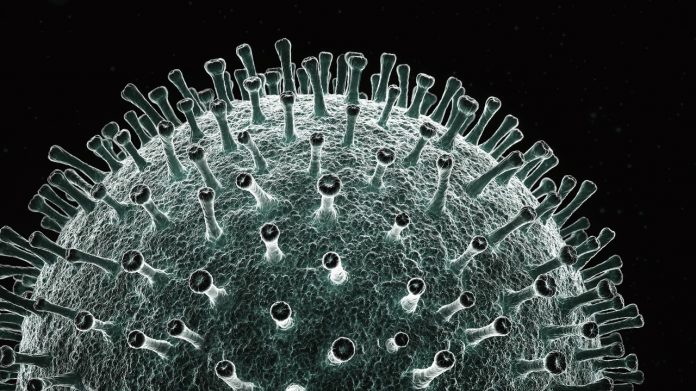 Novel Coronavirus was created in a Chinese lab, new study says, authors say major journals and academics ignored evidence for a year