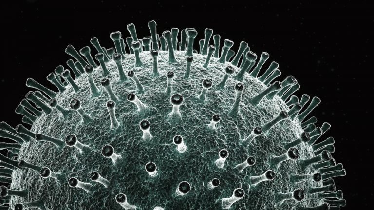 Novel Coronavirus was created in a Chinese lab, new study says, authors say major journals and academics ignored evidence for a year