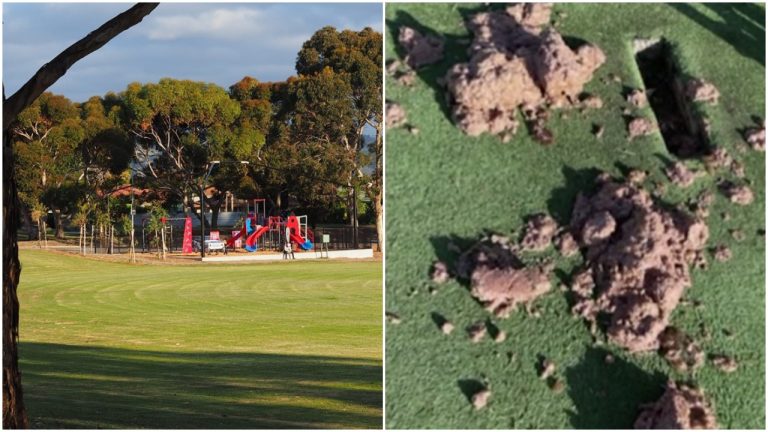 Australia: Hindus outrage at the racist attack after minced beef was found dumped in a community cricket pitch
