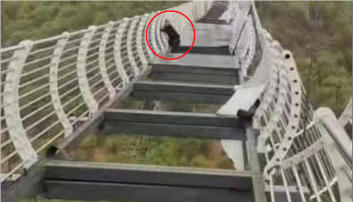 Terrifying visual shows man clinging onto a damaged glass bridge in China