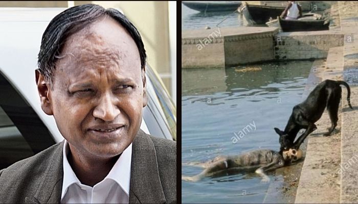 Congress leader Udit Raj run Dalit organisation shares 13-year-old image to claim that dogs are scavenging bodies of Covid-19 victims