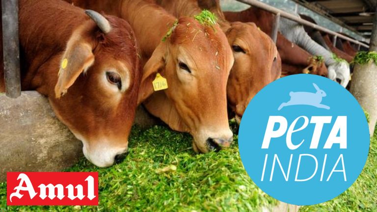 PETA India wants to shut down the entire dairy industry to prevent cow slaughter, but there is another solution
