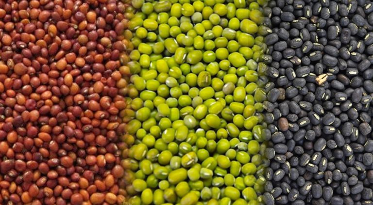 No, farmer income will not ‘suffer’ with the new import policy of the govt for pulses: Here is why it is being implemented and what it is