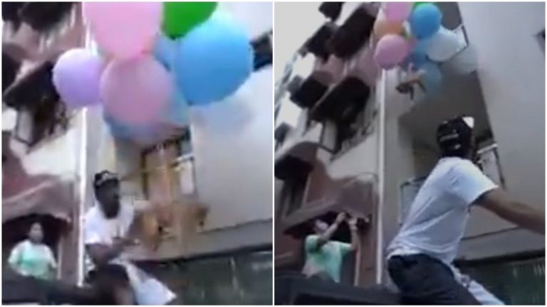 YouTuber ties pet dog with helium balloons to make it ‘fly’, gets arrested for animal cruelty