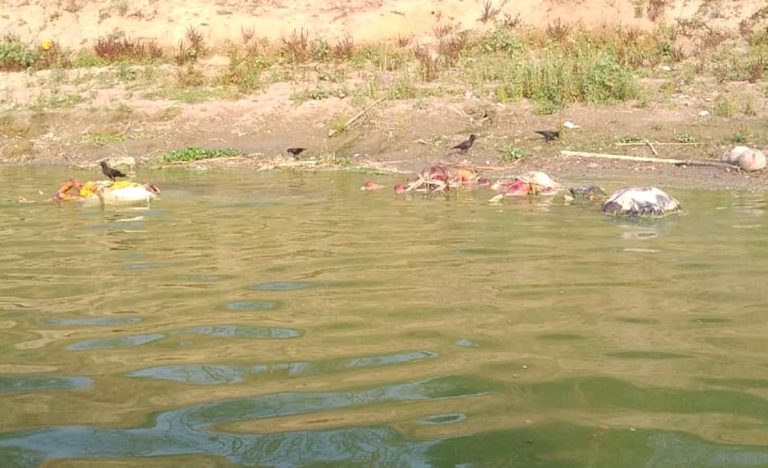 Amid Covid crisis, corpses found floating in Ganga in UP and Bihar. Here’s what we know so far