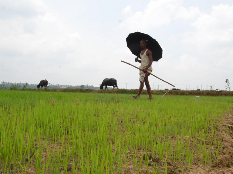 Gujarat: Interest waiver on repayment of crop loans extended till June 30