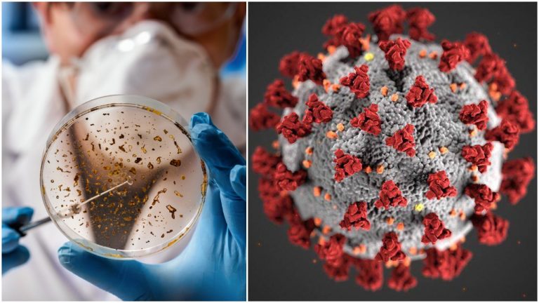 Mutations present in Coronavirus B.1.617 strain, dubbed as India strain and Modi strain, originated in the USA and Denmark