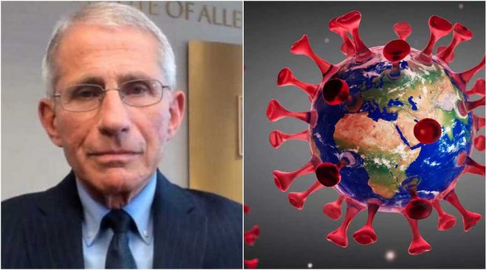Fauci emails reveal US scientists knew about possibilities of an 'engineered' virus causing the pandemic