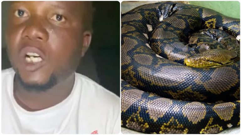 Zimbabwe: ‘Prophet’ rapes a woman inside car after threatening her with a live snake