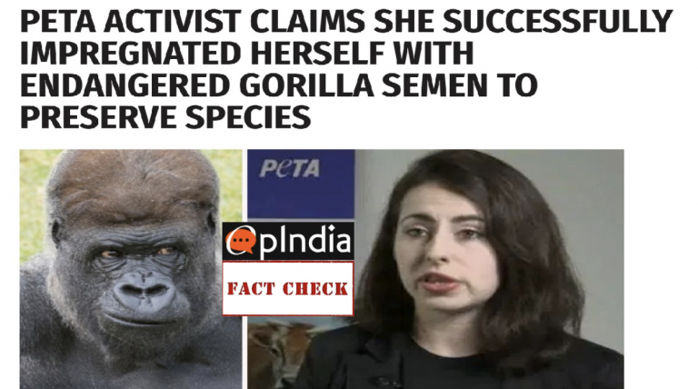 Fact-check: Did a PETA activist really become pregnant with Gorilla semen to save the species