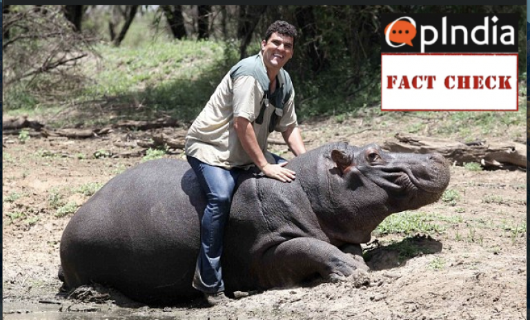 Did a pet hippo kill and eat his owner six years after he was ‘adopted’ as per viral message? Here are the details