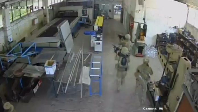 bulgaria olive oil raid