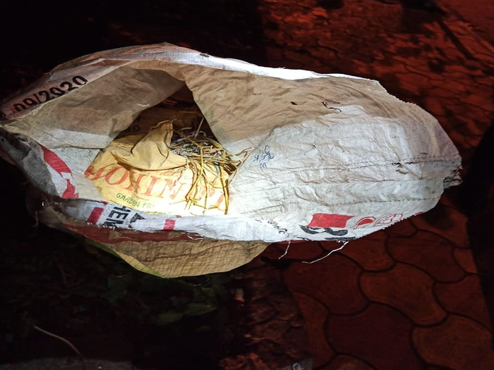 51 crude bombs recovered near BJP party office in Kolkata