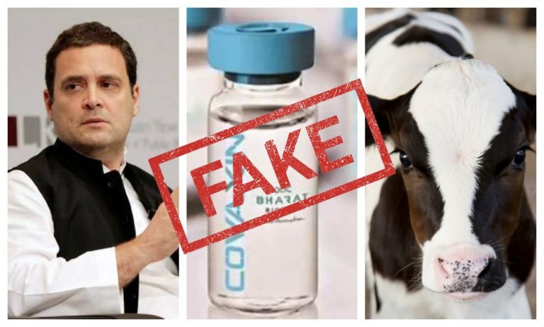 Congress leader spreads vaccine hesitancy again, this time claims newborn calves are slaughtered for their serum. Here is the truth
