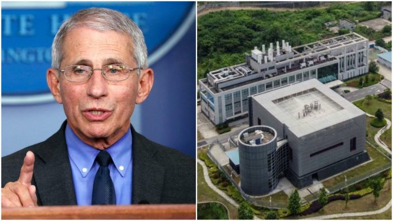 Anthony Fauci had argued that ‘gain-of-function’ virus experiments were worth the risk of a pandemic: Report