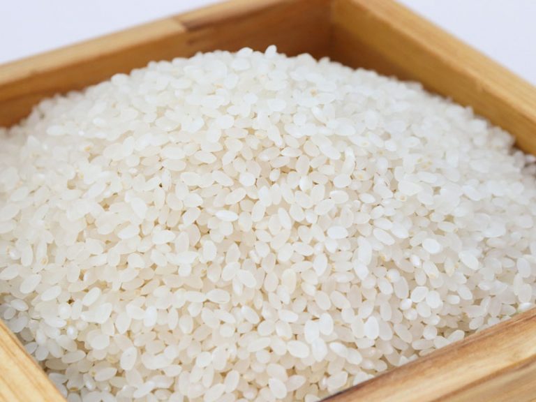 Govt refutes New Indian Express’s report on FCI’s involvement in rice scam, says distribution is state govt responsibility
