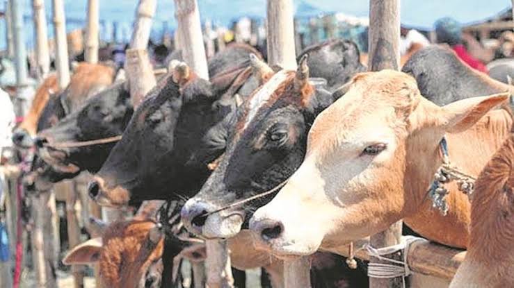 Jammu and Kashmir administration clarifies there is no cow slaughter ban ahead of Bakra-Eid, media had misreported its order