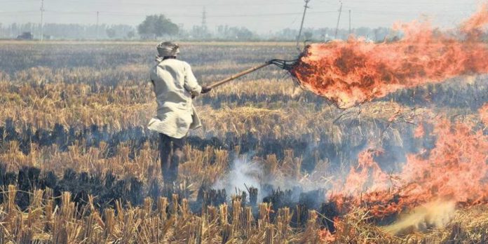 Stubble burning could have caused Covid-19 spike in Delhi during winter, suggests new study