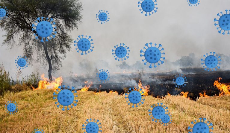 Stubble burning and Covid-19 surge in Delhi: Read what Indian Institute of Tropical Meteorology scientists said in their paper
