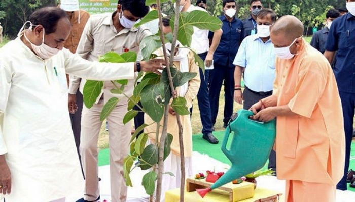Uttar Pradesh: 25.5 million saplings planted in mass plantation drive, forest cover increases by 3% in past 4 years
