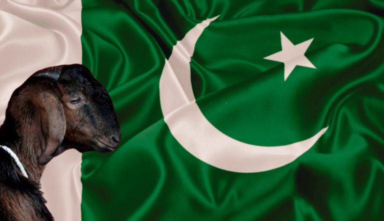 Pakistan: Five men booked for abducting, gang-raping and killing a goat