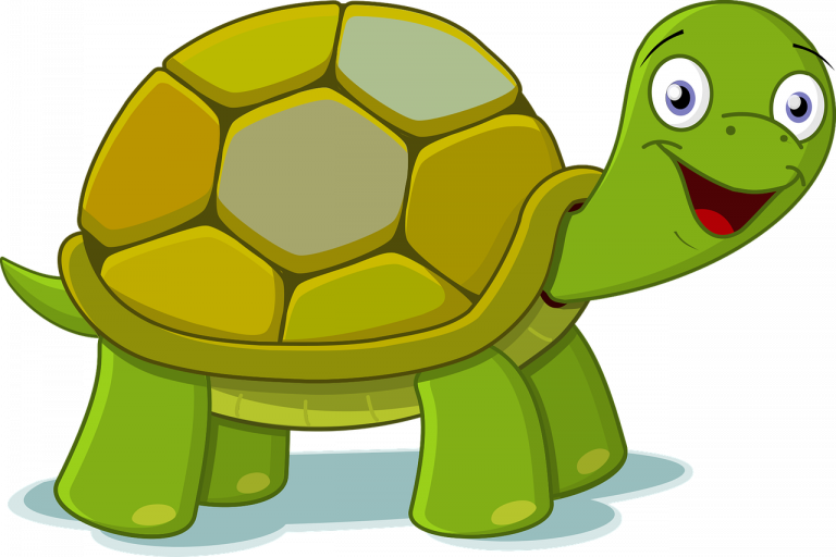 Maharashtra: Man booked for demanding 21-nailed tortoise and black Labrador as dowry