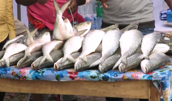 NMCG working to restore the upstream migration of Hilsa fish, catches in UP, Bihar are signs of success: Jal Shakti Minister