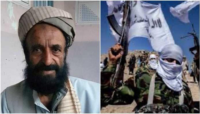 Afghan historian killed by Taliban