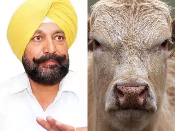 Punjab Health Minister Balbir Singh Sidhu accused of grabbing prime Mohali land through his NGO. Details