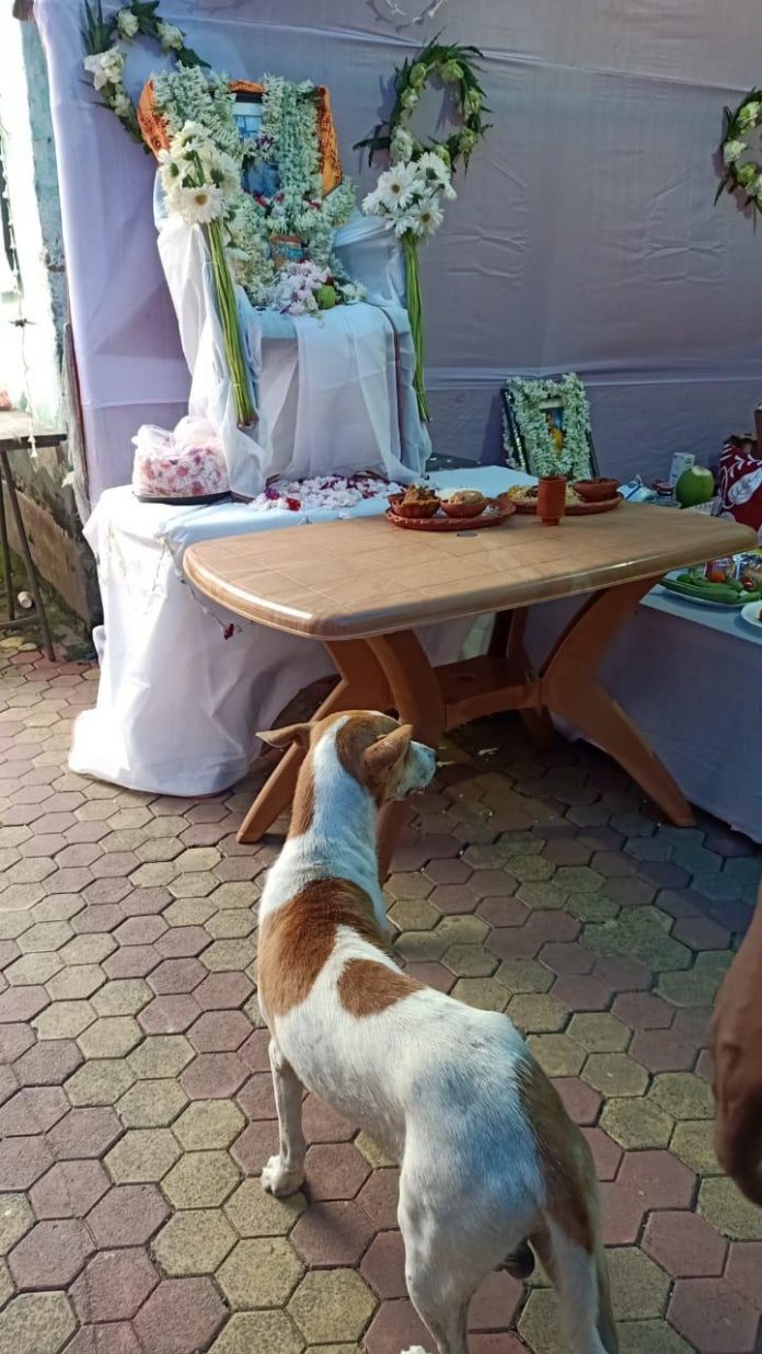 Images from the last rites of late BJP Worker Avijit Sarkar surface on Twitter