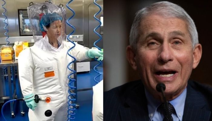 Wuhan lab’s research on deadly viruses was funded by the US under the supervision of Anthony Fauci, reveals new book