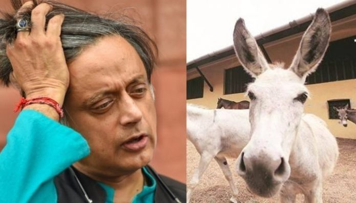 Audio shows Telangana Congress chief calling Shashi Tharoor 'donkey'