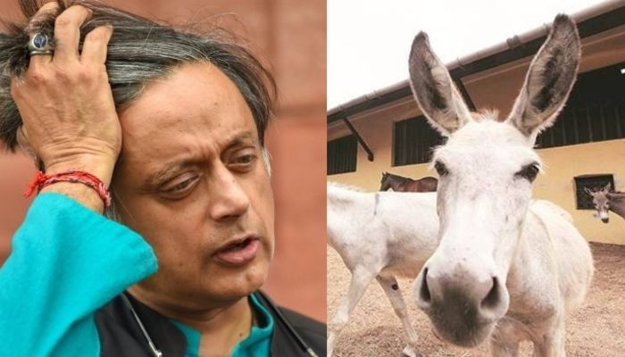 Telangana Congress chief calls Shashi Tharoor ‘useless donkey’ in a viral audio, later apologises: Here is what had happened