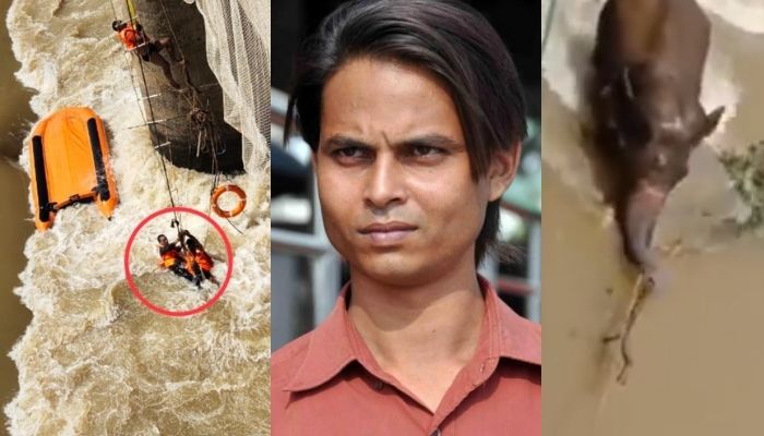 Odisha: OTV journalist dies in tragic boat mishap in Mahanadi during elephant rescue operation
