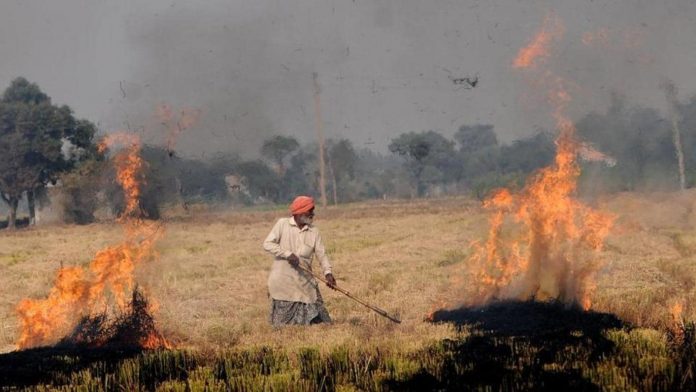 UP: Govt withdraws cases against farmers that were lodged for stubble burning