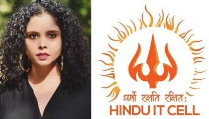 Who are the 'Hindu IT Cell' against whom Rana Ayyub and her American friends are losing cool
