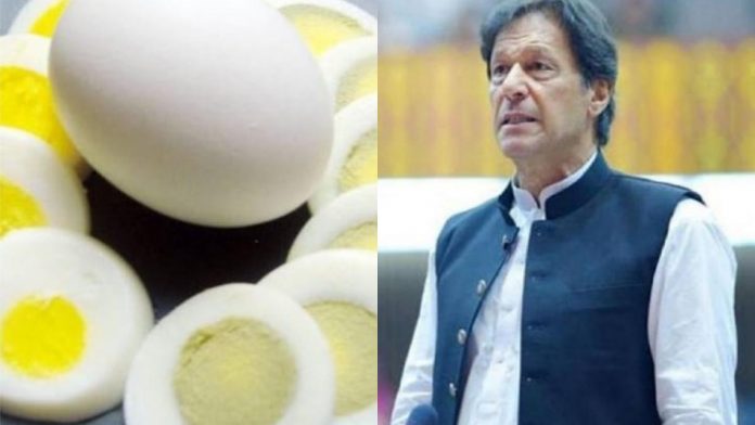 Pakistan: Imran Khan 'Murghi Paal' scheme fails, hens did not lay eggs, citizens cooked and ate them instead