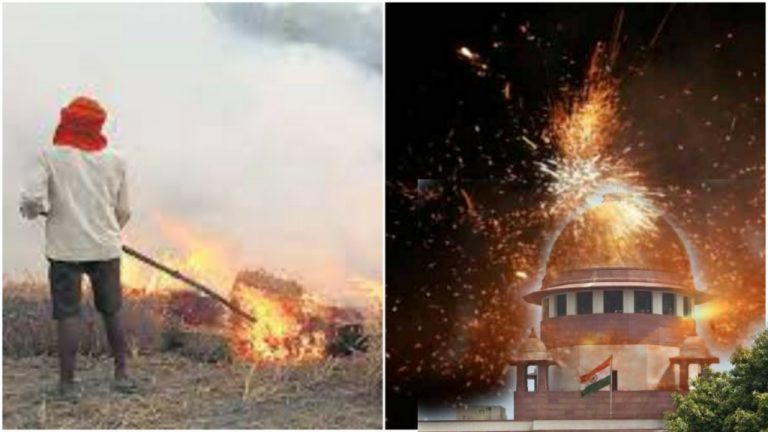 Firecracker issue temporary, stubble burning problem is the main issue: Supreme Court