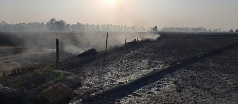 Risk of road accidents increase on the Delhi-Hisar highway as farmers start to burn stubble on the roadside at night
