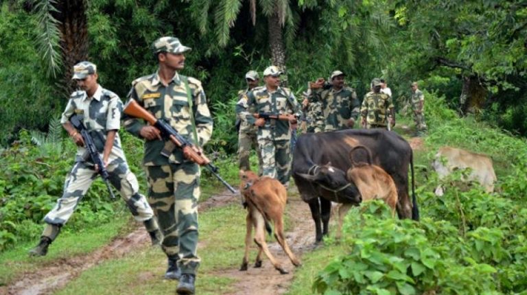 West Bengal: Cattle smuggles from Bangladesh attack BSF team at the border in Cooch Bihar, two smugglers killed while one jawan injured