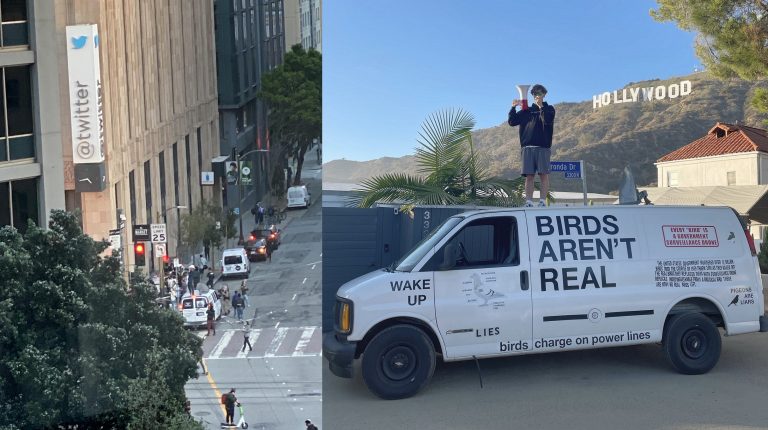 Conspiracy theory group claims US govt has replaced all birds with surveillance drones, asks Twitter to change its logo