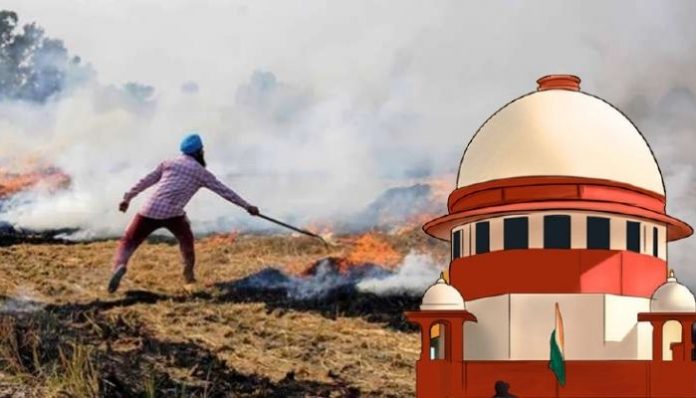 Stubble burning not major cause of air pollution in Delhi: Centre