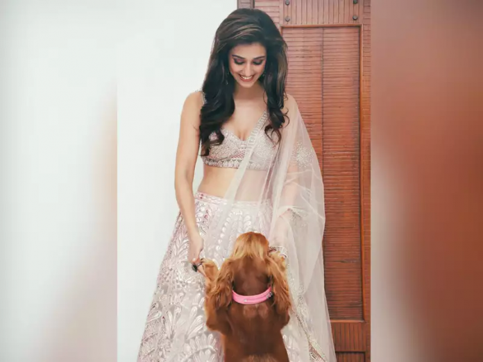 Disha Patani asks people to be kind to animals on Diwali, netizens remind her of her love for chicken