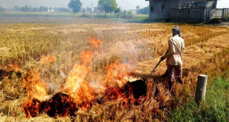Govt accepted demands to decriminalise Jashn-e-Parali along with repealing the farm laws: Why the Centre should change rules of engagement