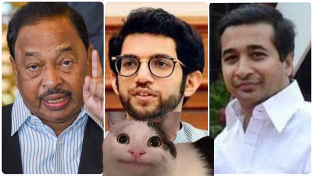 Narayan Rane slams Aaditya Thackeray over 'meow meow' episode