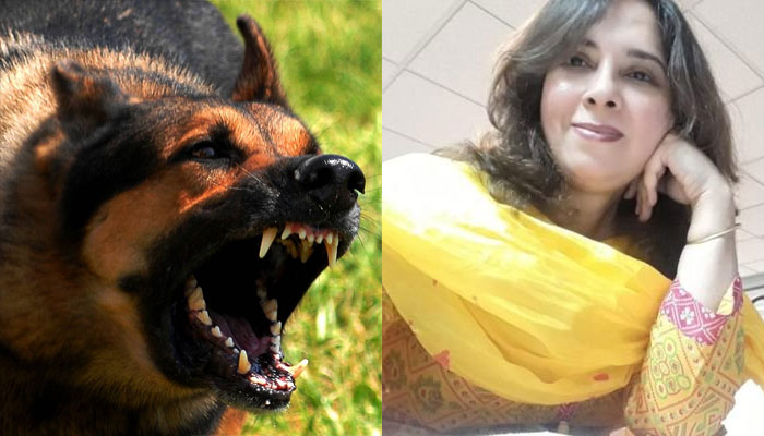 Pakistani journalist goes on an anti-Hindu rant on BSF Raising Day celebration
