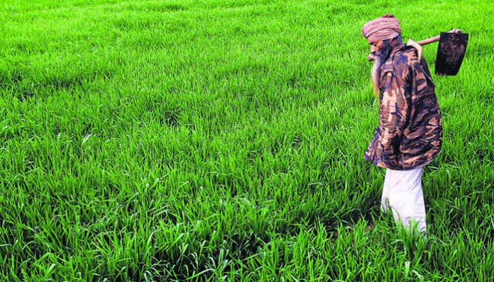 Punjab govt has ordered DCs to prepare list of farmers who own land beyond permissible limits