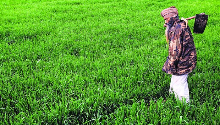 Punjab Govt tells DCs to prepare list of farmers who own land beyond permissible limit, Jat Sikhs concerned