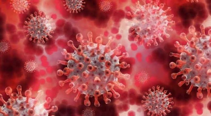 Wuhan scientists warn of a new highly infectious coronavirus strain NeoCoV