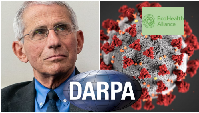 Fauci's NIAID funded Peter Daszak's proposal that was rejected by DARPA, says Project Veritas